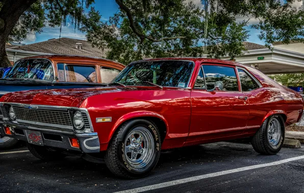 Red, classic, 1971 Chevrolet Nova, Chevrolet Nova