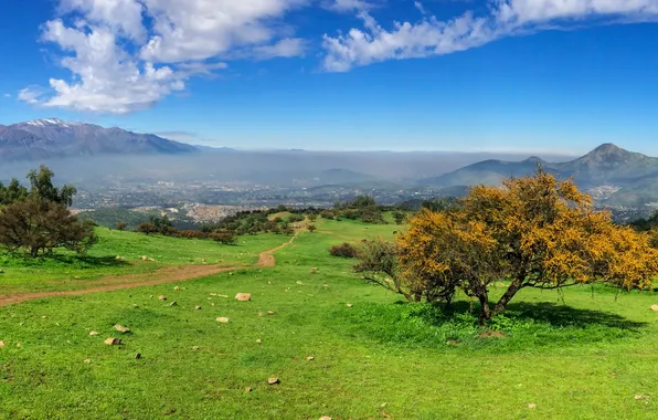 Road, grass, trees, mountains, slope, panorama
