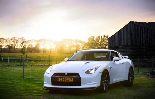 Picture field, white, the sky, grass, trees, sunset, GTR, supercar