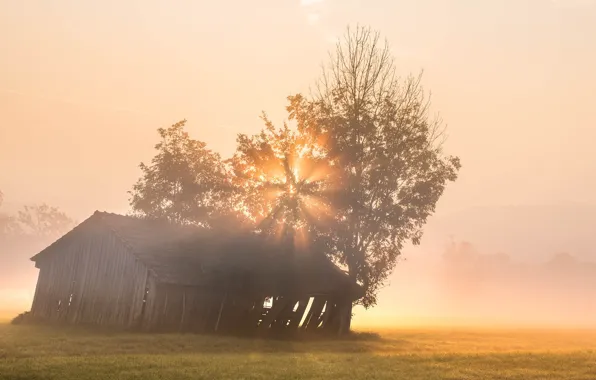 Wallpaper fog, dawn, morning, house for mobile and desktop, section