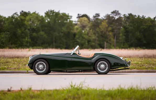 Picture Jaguar, 1954, XK120, Jaguar XK120 SE Roadster