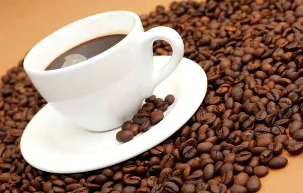 Coffee, grain, Cup, white, saucer, coffee
