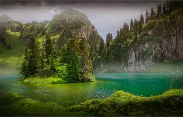 Picture trees, lake, island