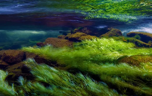 River, stones, Wales, Snowdonia
