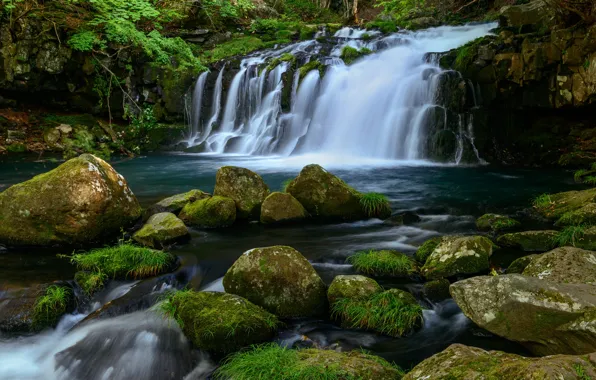 Greens, summer, grass, water, stones, shore, vegetation, waterfall