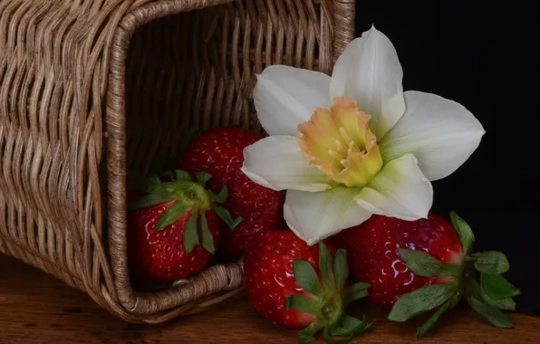 Picture flower, berries, basket, strawberry, Narcissus