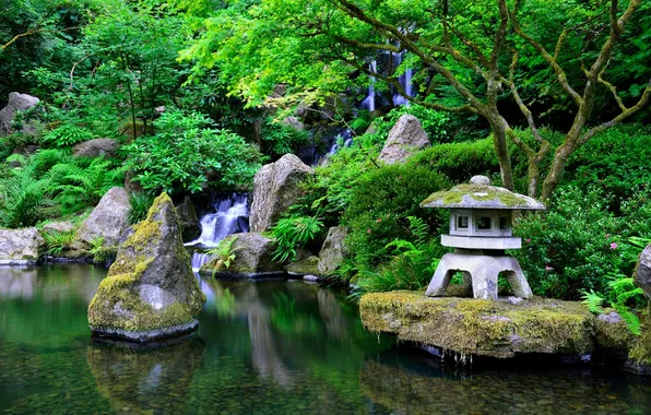 Greens, water, stones, Japan, garden