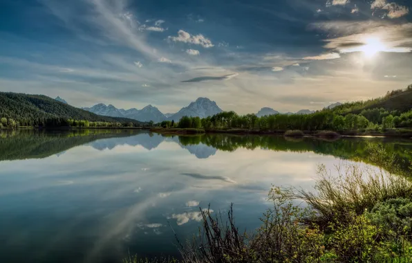 Picture trees, mountains, nature, lake, reflection, the bushes, Yellowstone