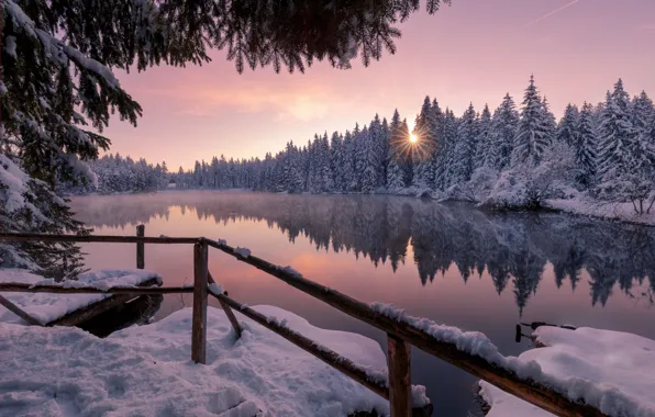 Winter, forest, snow, sunset, lake, pond, reflection, Switzerland