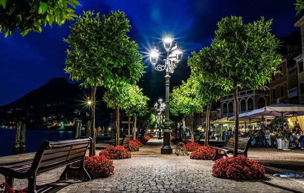 Trees, night, lights, Italy, Italy, benches, illumination, Lombardy