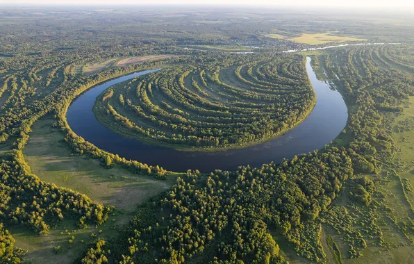 River, water, vegetation, curve