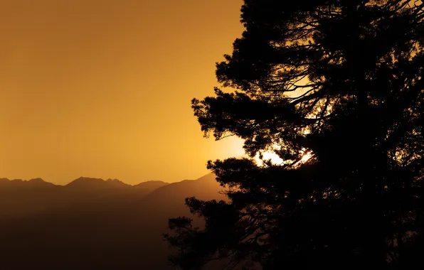 The sky, rays, light, trees, mountains, tree, landscapes, view