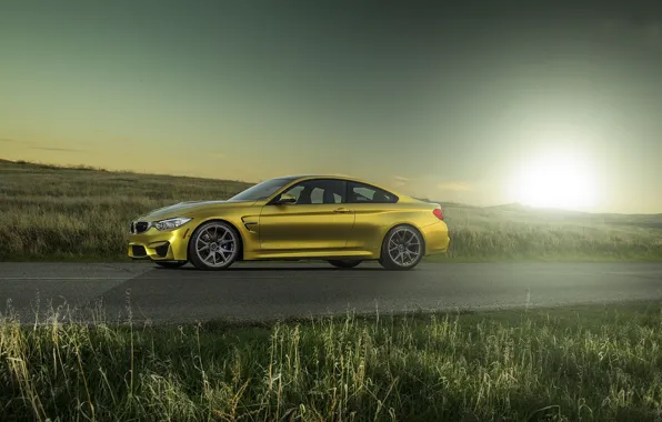 The sun, yellow, bmw, BMW, drives, yellow, f82