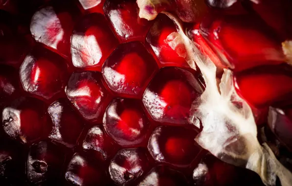 Macro, red, grain, garnet