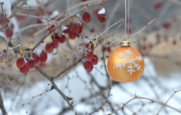 Picture winter, berries, Bush, new year, Christmas, ball, decoration