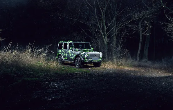 Picture forest, night, mercedes, camouflage, brabus, benz, amg, g65