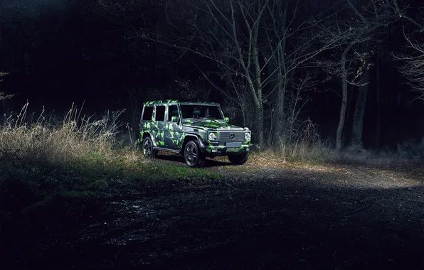 Forest, night, mercedes, camouflage, brabus, benz, amg, g65