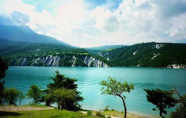 Picture sea, greens, the sky, grass, water, clouds, trees, landscape