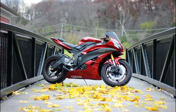 Autumn, leaves, bridge, red, red, yamaha, bridge, Yamaha