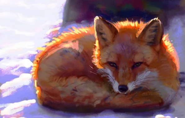 Picture winter, snow, Fox, by Meorow