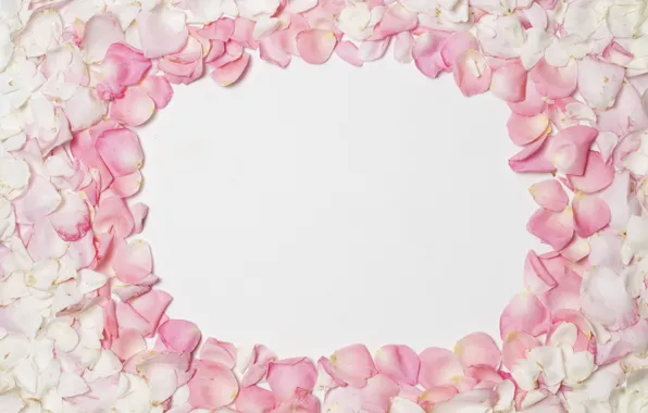 Picture background, petals, pink, pink, background, petals, frame, floral