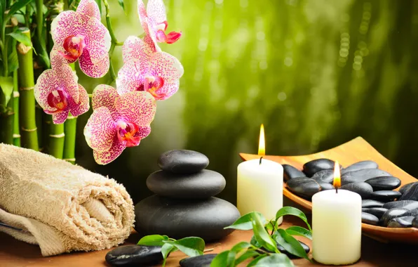 Picture flower, stones, towel, candles, bamboo, Orchid, black, Spa