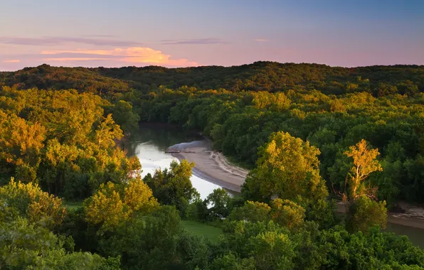 Greens, forest, summer, the sky, light, trees, river, hills