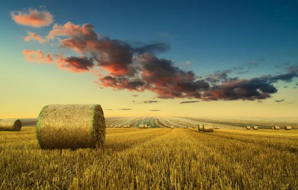 Picture field, the sky, hay
