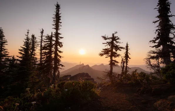 The sky, the sun, light, trees, sunset, mountains, fog, dawn