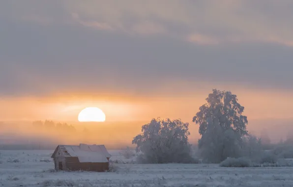 Winter, sunset, nature, fog, house