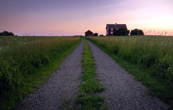 Road, field, landscape, sunset, house