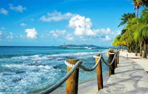 Picture wave, palm trees, the ocean, promenade, Caribbean, Caribbean Sea