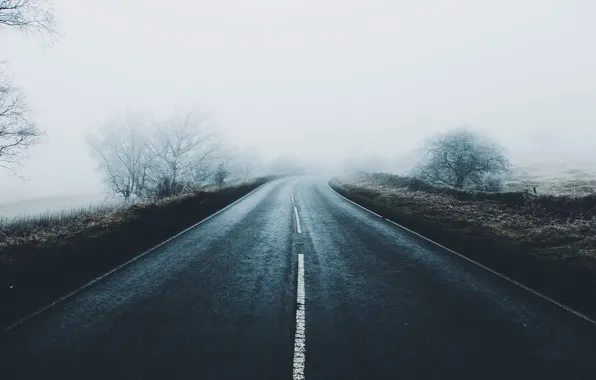 Picture frost, road, trees, fog