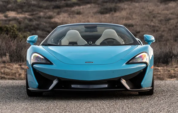 McLaren, supercar, front view, 2018, Spider, 570S