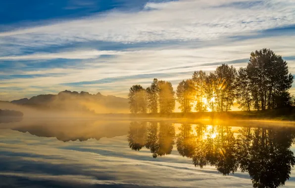 Picture the sky, clouds, trees, fog, lake, dawn