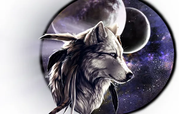 Picture background, wolf, frame