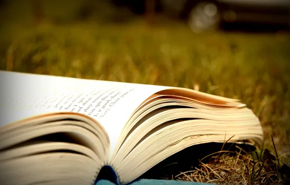 Picture leaves, macro, book, bokeh