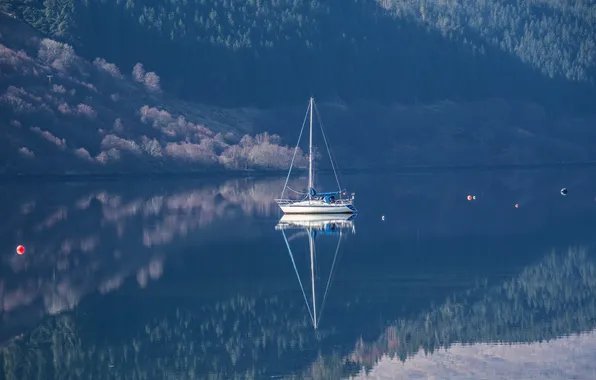 Picture lake, reflection, yacht, Scotland
