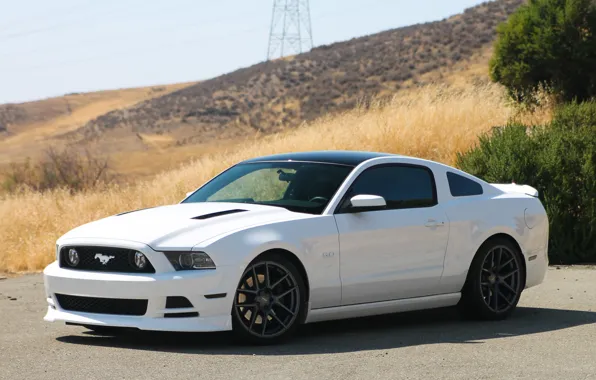 Mustang, Ford, GT 5.0, Matte Gunmetal, VMB5, Velgen