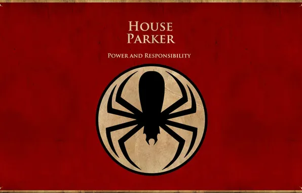 Style, minimalism, spider