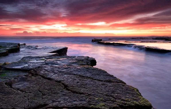Picture landscape, sunset, the ocean, earth