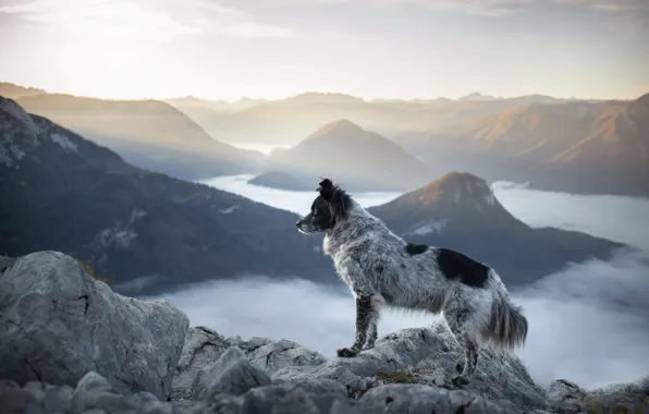 The sky, light, landscape, mountains, fog, stones, rocks, hills