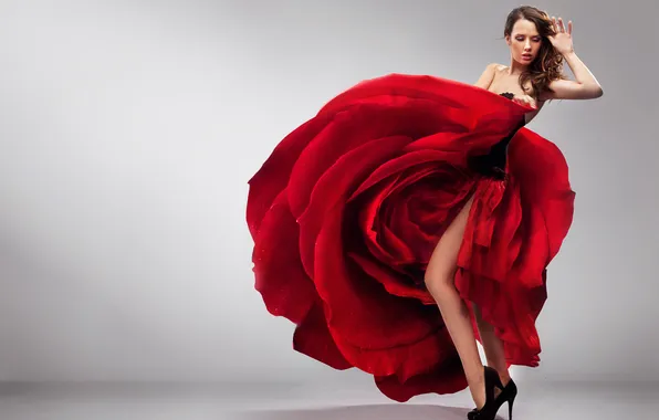 Picture flower, red, rose, Girl, dance