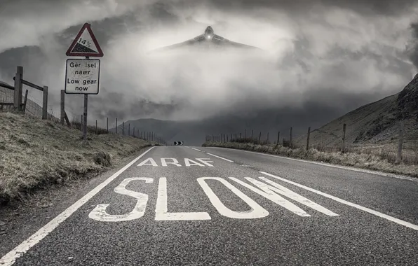 Road, fog, the plane