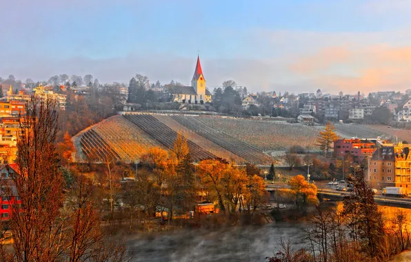 Picture autumn, bridge, the city, river, home, Switzerland, slope, vineyard