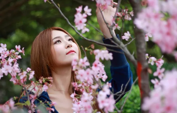 Picture girl, spring, Sakura, Asian, bokeh