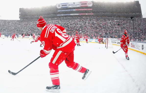 The game, Snow, Sport, Ice, Toronto, Ice, Detroit, NHL