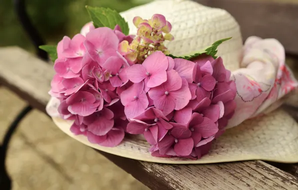 Picture flowers, hat, hydrangea