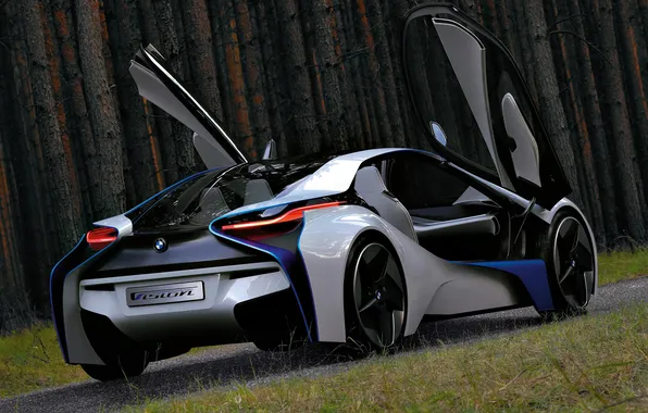 Concept, BMW, door, BMW, the concept, Vision, back, EfficientDynamics
