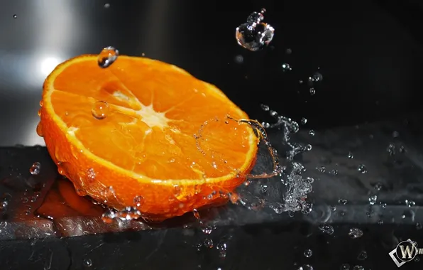 Picture water, orange, orange